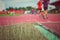 Field of weed and grass in the stadium