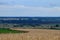 Field of wheat along a rural road, away on the horizon of the village