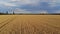 Field of wheat and beautiful nature sunset landscape