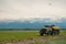 Field of wheat in front of mountains