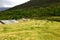 Field of Wheats at Baisuitai