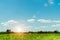 A field where electricity poles can be seen in the distance with the sunlight and the blue sky, Lawn in the evening sun