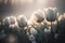 Field of white blooming tulips. Spring flowering. Generative AI