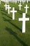 Field with white crosses