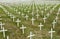 Field of white crosses