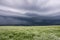 Field of white flowers with storm clouds above in horizontal position. Storm clouds overhead.