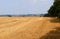 Field with wind turbines