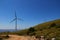 Field of wind turbines for production of electricity.