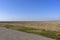 Field with windmills near the road