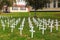 Field of wooden remembrance crosses. Anzac Day, New Zealand