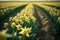 Field of yellow daffodils. The perfect image for spring background, flower landscape. generative ai