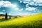 Field of yellow flowers Tuscany