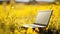 field yellow laptop