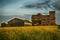 Field of yellow rapeseed and wooden barn