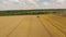 Field of yellow wheat. Aerial of tractor on harvest field