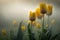 Field of yellowtulips. Spring flowering. Generative AI