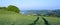 Field of young wheat growing in Cornwall