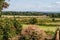 Fields around Sissinghurst