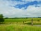 Fields of Avebury