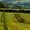 Fields of Berry Pomeroy Village in Devon