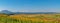 Fields with blooming sunflower. Farm mowing, hay and straw for livestock in winter. Panorama