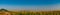 Fields with blooming sunflower. Farm mowing, hay and straw for livestock in winter. Panorama