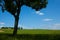 Fields with blue sky, clouds and trees in the Dachau hinterland, Bavaria, near Munich