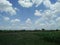 Fields, broad, stretched, green, corn, food, expanse, scenery, fresh, cool, natural, farmers, land, plants.