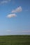 Fields with cereal plantations near Athienou town in Cyprus Island during January