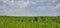 Fields with cereal plantations near Athienou town in Cyprus Island during January