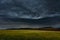 Fields of cereals under the storm