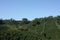 Fields and coffee plantations in the Colombian Andes. Montenegro, which is nestled between mountains of the Cordillera Central, in