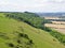 Fields at Combe Gibbet in the summer