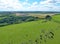 Fields at Combe Gibbet in the summer