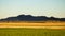 Fields, Date Palms and Mountains