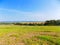 Fields and deciduous forest