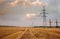 Fields of dry ripe wheat on the background of metal pylons of electric wires