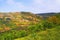 Fields of Ein Qiniyye in the slopes of Mount Hermon the north of Israel