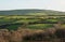 Fields on Exmoor near Lynton, Devon, England