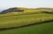 Fields on Exmoor near Lynton, Devon, England