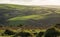 Fields on Exmoor near Lynton, Devon, England