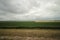 Fields and farms with country road in the Zuidplaspolder in Moordrecht in the Netherlands