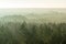 fields and forests covered in mist in late autumn