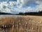 Fields of gold. Lake and cloudly sky. Nature and peace. Colorful. Countryside. Nature.