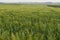 Fields in Hanadiv valley, Israel