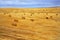 The fields after a harvest and stacks