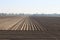 fields that have just been plowed in the Zuidplaspolder for sowing vegetables