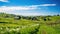 fields landscape oranic farm