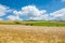 Fields, meadows, clouds. Wheat fields in agrarian landscape in early summer.