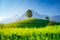 Fields and meadows. Mountain landscape. Dark sky. Natural landscape in summer time. Tree on top of the hill.